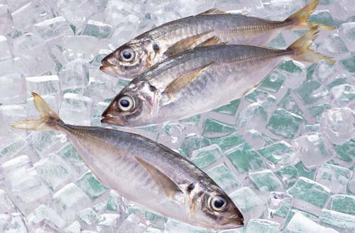 冷冻鱼和活鱼比起来 营养价值是不是都给“冻”没了
